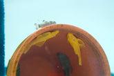 L144a Blue Eye Lemon Bristlenose Pleco (Ancistrus sp.) - Tank-bred
